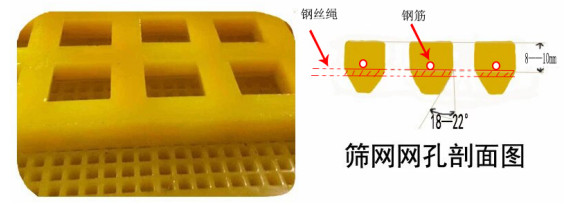 2022-01-05_093617.jpg 2022-01-05_093617.jpg