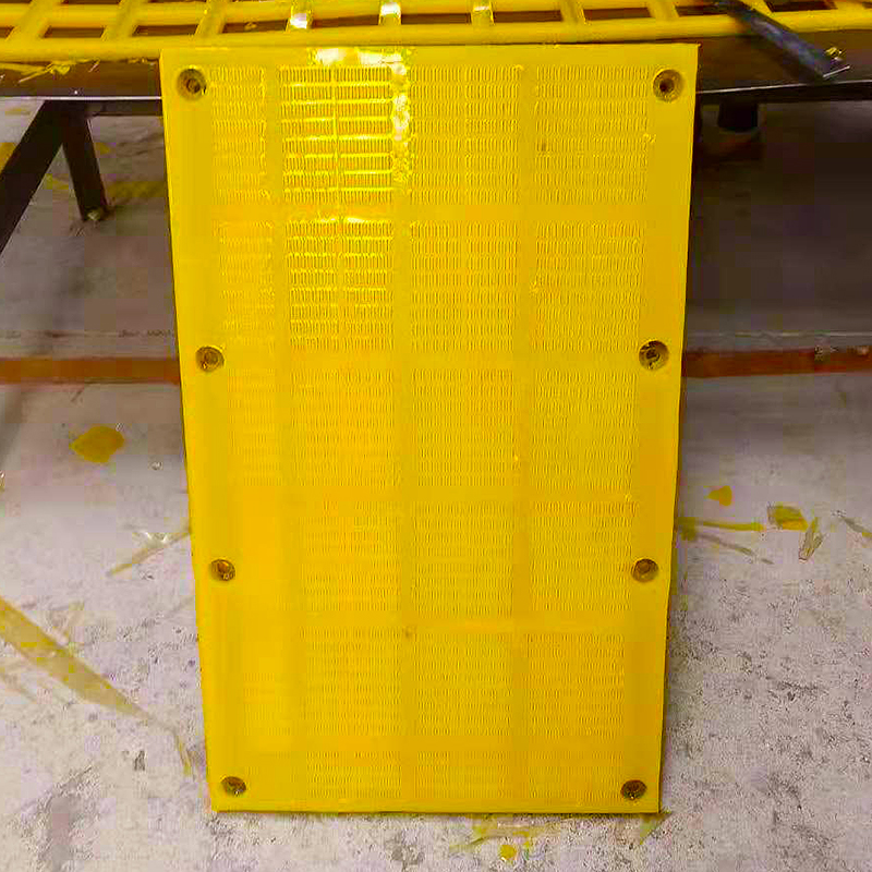 800800.jpg 800800.jpg