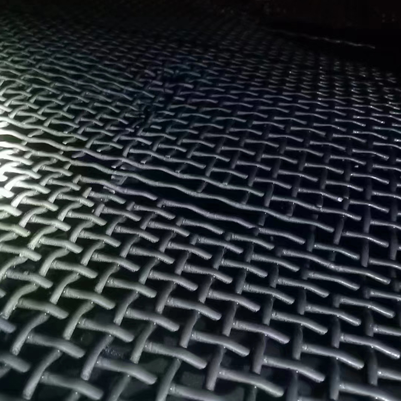 網病2.jpg 網(wǎng)病2.jpg