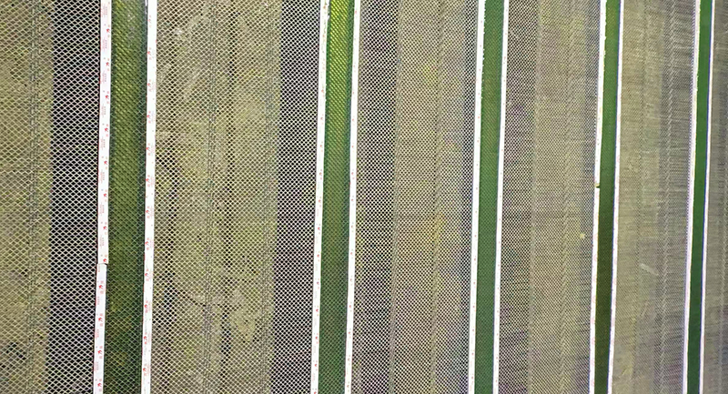 防堵篩(shāi)網9.jpg 防堵篩網9.jpg